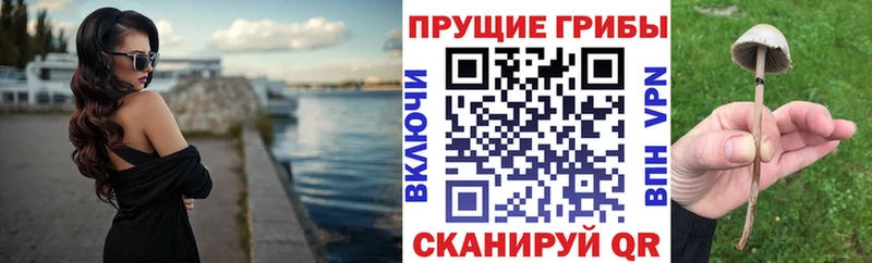 Псилоцибиновые грибы MAGIC MUSHROOMS  продажа наркотиков  Зуевка 